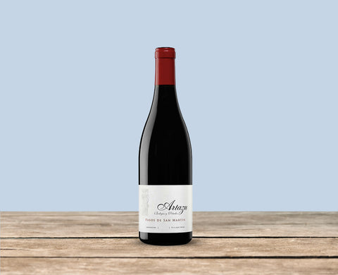 Artadi Pasos de San Martin Organic Navarra