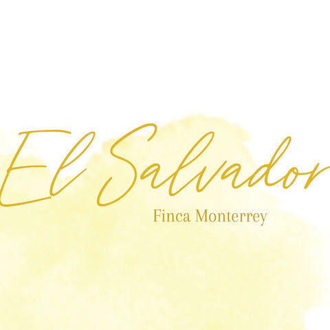 Fire & Flow EL SALVADOR/FINCA MONTERREY Whole Bean 250g