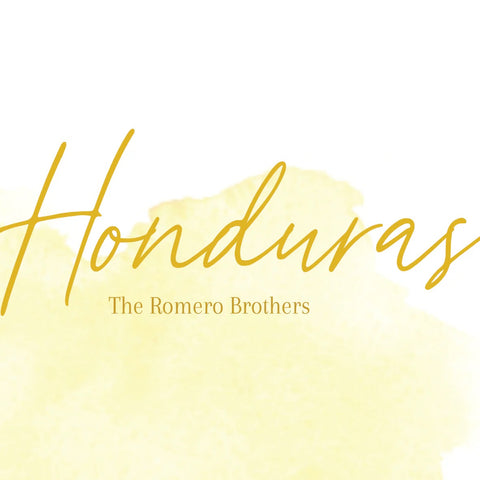 Fire & Flow HONDURAS/THE ROMERO BROTHERS Whole Bean 250g