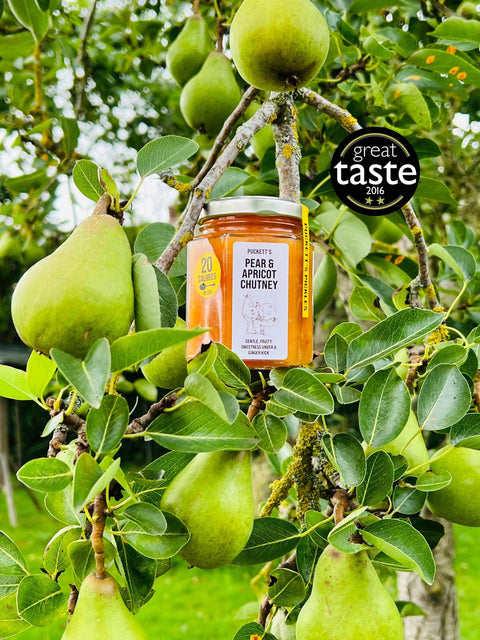 Puckett's Pickles - Pear & Apricot Chutney