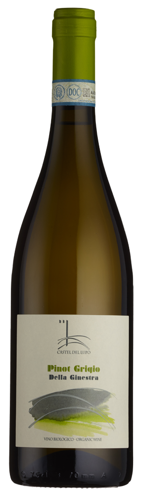 Pinot Grigio Castel del Lupo Della Ginestra Organic
