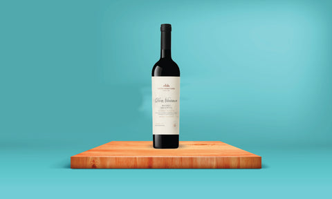 Don Nicanor Bodegas Senetiner Malbec