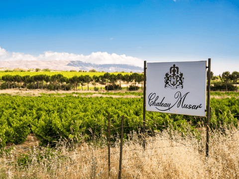 The Chateau Musar Tasting Friday October 2nd 18:30 £25pp