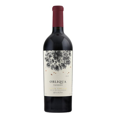 Ventisquero Obliqua Carmenere