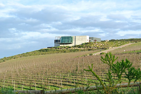 South African Masterclass with Waterkloof Wines