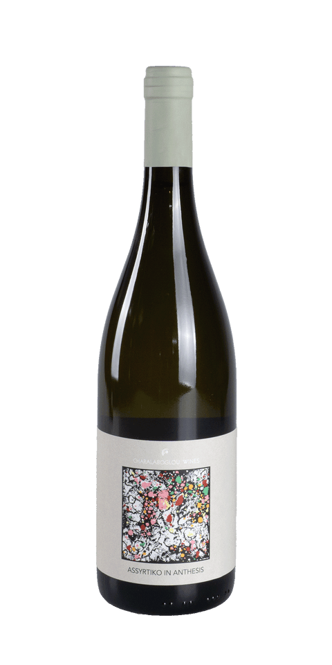 Assyrtiko in Anthesis